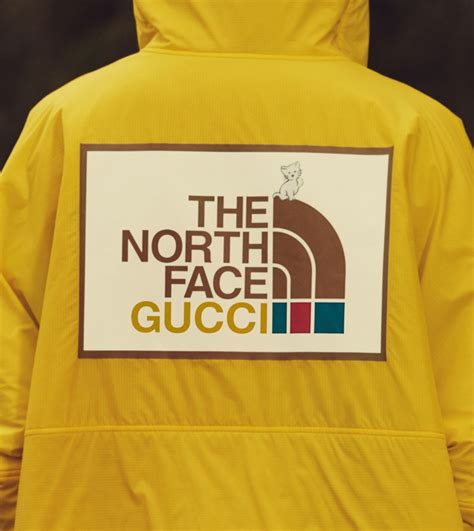 bonnet the north face gucci|gucci north face icon.